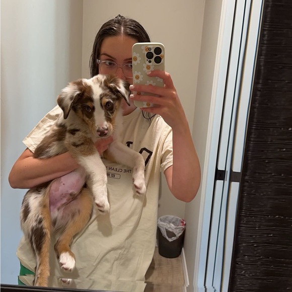 Meet your Posher, Kearsten - Picture 1 of 1